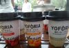Yoforia Hadir dengan Tiga Varian Rasa