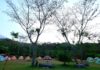 Yuk’ Rasakan Sensasi Camping Eksklusif Pager Gunung Camp Site Desa Wisata Cibuntu!