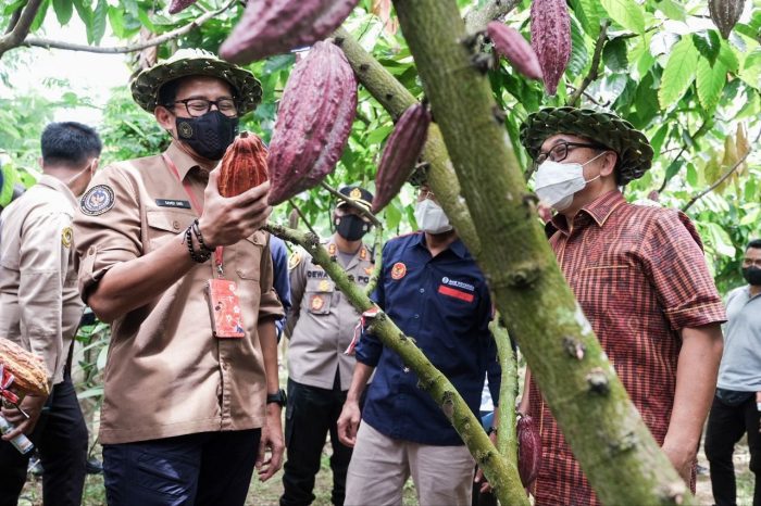 Menparekraf Tingkatkan Nilai Tambah Komoditas Cokelat Ekasari Jembrana Bali Melalui Program BEDAKAN