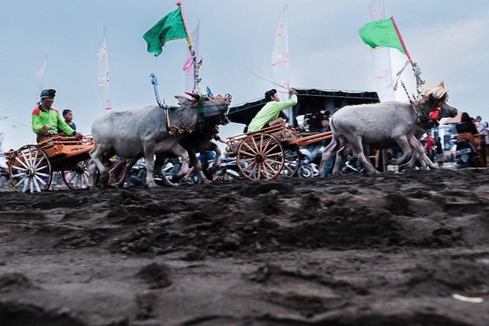 Diresmikan Sirkuit All In One sebagai Pusat Kegiatan Parekraf di Jembrana