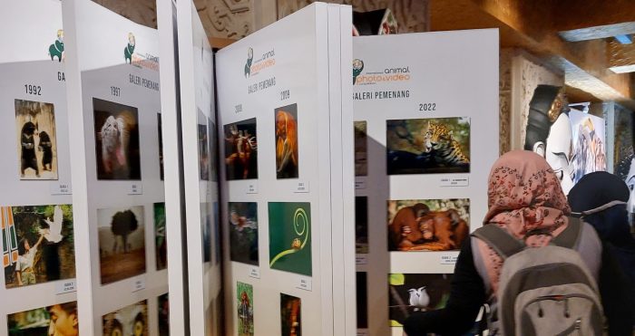 Lestarikan Cerita Dunia Satwa, Taman Safari Indonesia Gelar International Animal Photo & Video Competition 2023
