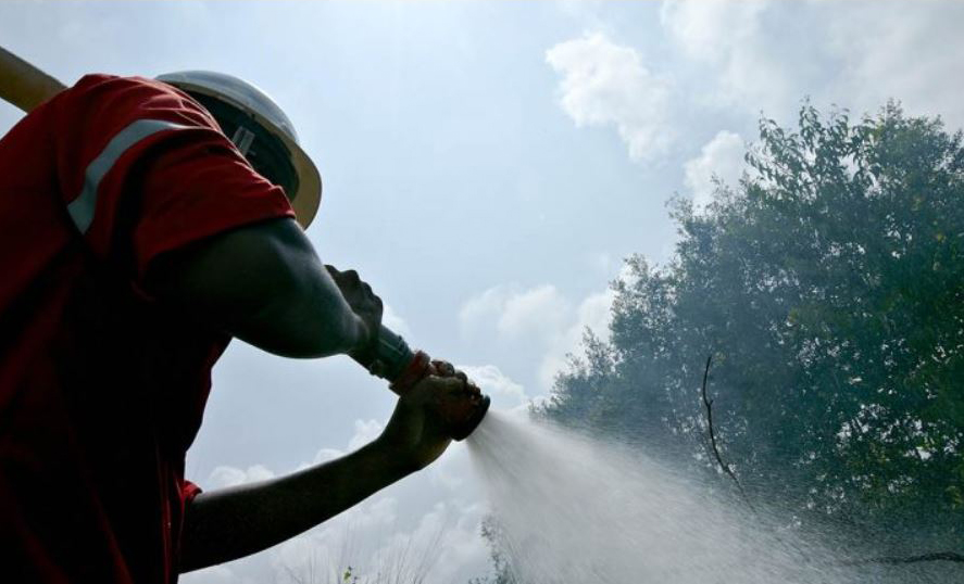 Momen 25 Tahun PaperOne, Hasilkan Kertas Berkualitas Tinggi dengan Dampak Serendah Mungkin pada Lingkungan
