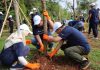 Lestarikan Lingkungan, Manulife Indonesia Gelar Manulife Volunteer Day
