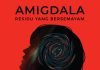 Penulis Mpokgaga Luncurkan Buku Kedua “Amigdala: Residu Yang Bersemayam”