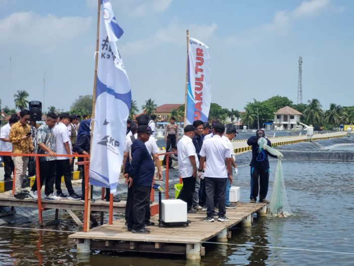 Menteri Kelautan dan Perikanan Bersama eFishery Meninjau Klaster Budidaya Nila Salin di BLUPPB Karawang