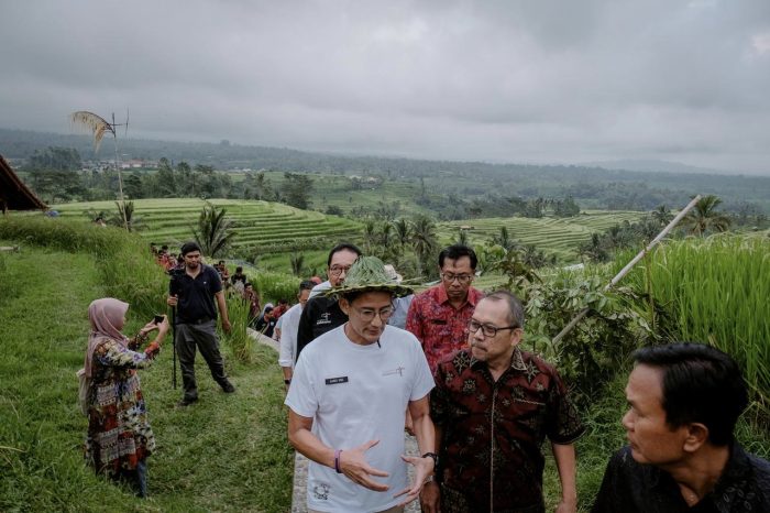 Subak, Cermin Pembagian Air Berkeadilan di Pulau Dewata