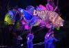 Menparekraf Sandiaga Hadiri Opening Ceremony _World Water Forum ke-10