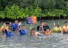 Peringati World Environment Education Day 2025, HARRIS Hotels Jakarta-Bekasi Gelar Penanaman Mangrove di Muara Gembong