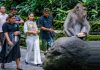 Pentingnya Pengelolaan Sampah di Kawasan Monkey Forest untuk Pariwisata Berkelanjutan