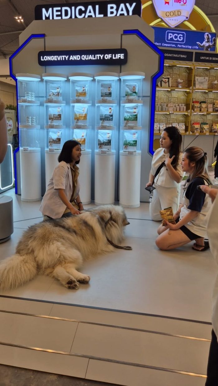 PCG Hadir di PetFest 2025 dengan Produk Premium Gold Series untuk Anabul
