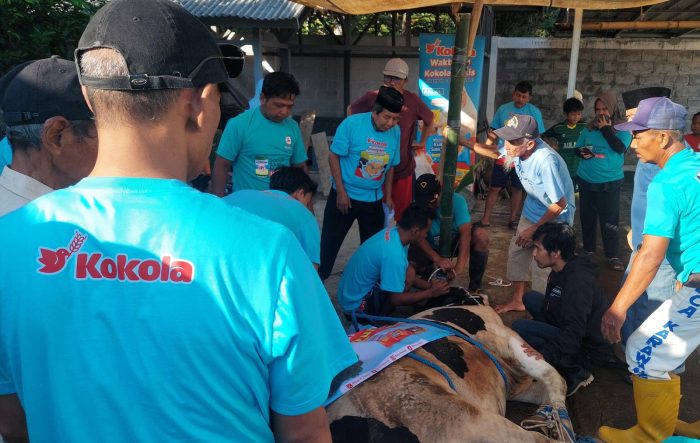 Kokola Group Salurkan Hewan Qurban Bersama Mamah Dedeh di Ciamis dalam Rangka Idul Adha 1446 H