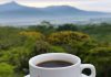 Seduhan Kopi Indonesia Semakin Populer, Wisatawan Italia Hadirkan Peluang Baru