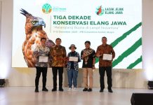 Lebih dari Satu Dekade Lestarikan Elang Jawa, PGE Raih Penghargaan Menteri Kehutanan