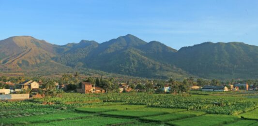 Agoda: Puncak dan Surakarta Catat Peningkatan Minat Wisatawan Jelang Libur Panjang Hari Buruh 2026 Berita Perjalanan dan Pariwisata