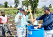 PGE Gandeng FT UGM dan PT Agrotekno Estetika Laboratoris Kembangkan Booster Pertanian Ramah Lingkungan