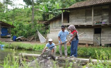 Mengenal STREAM, Teknologi Hijau di Balik PROPER Emas Keempat PGE Area Ulubelu Berita Perjalanan dan Pariwisata