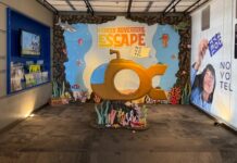 Family Adventure Escape, Kenangan Indah di Novotel Jakarta Mangga Dua Square