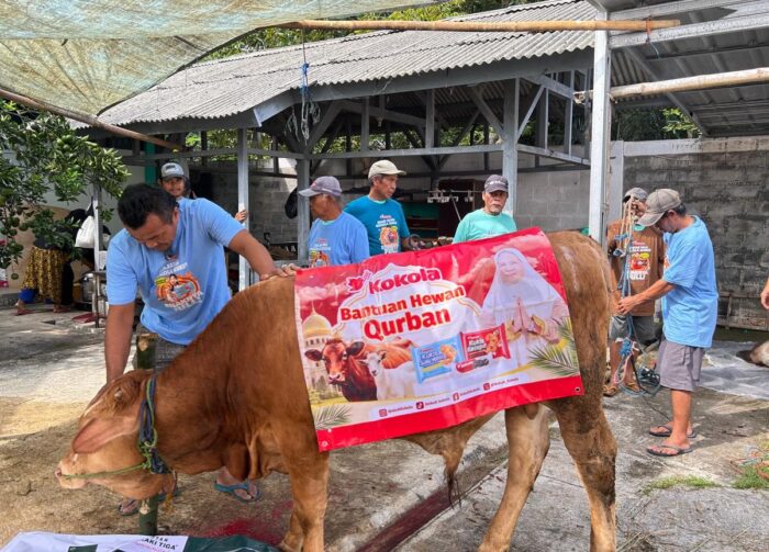 Kokola Group bersama Mamah Dedeh Salurkan Qurban Sapi Limosin di Ciamis