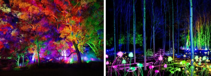 Lightscape Perth 2026 Sulap Kings Park Menjadi Destinasi Musim Dingin Penuh Cahaya dan Keajaiban