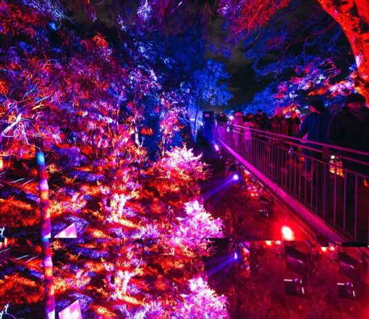 Lightscape Perth 2026 Sulap Kings Park Menjadi Destinasi Musim Dingin Penuh Cahaya dan Keajaiban Berita Perjalanan dan Pariwisata