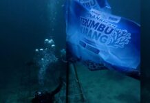 Jaga Ekosistem Laut Indonesia, ASDP Perkuat Konservasi Terumbu Karang di Pesisir Bau-Bau