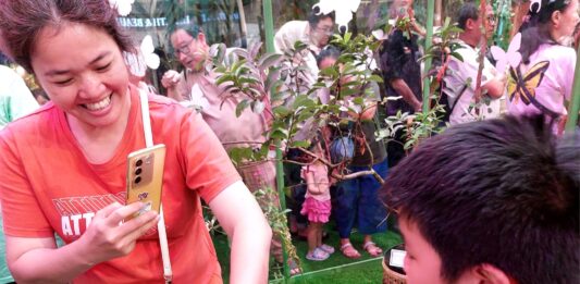 Mengajarkan Keberanian kepada Anak Melalui Serangga Berita Perjalanan dan Pariwisata