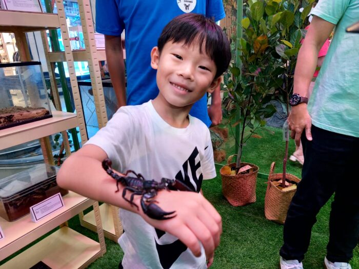 Saat Hutan Hadir di Tengah Kota, Explore The Jungle Ramaikan Liburan Sekolah di Mal Ciputra Jakarta