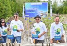 Hijaukan Pesisir, ASDP Tanam 2.500 Mangrove di Pagimana