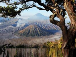 Bromo Kembali Dibuka, Menpar: Pariwisata Pulih, Kelestarian Harus Dijaga Bersama Berita Perjalanan dan Pariwisata