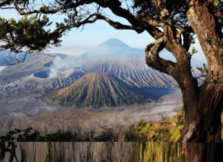 Bromo Kembali Dibuka, Menpar: Pariwisata Pulih, Kelestarian Harus Dijaga Bersama Berita Perjalanan dan Pariwisata