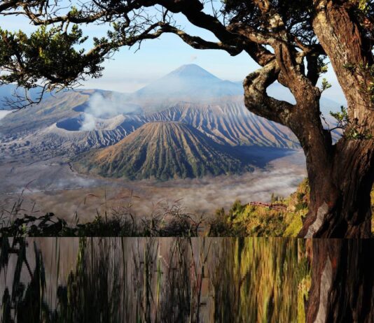 Bromo Kembali Dibuka, Menpar: Pariwisata Pulih, Kelestarian Harus Dijaga Bersama Berita Perjalanan dan Pariwisata