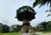 Seru untuk Liburan Seharian, Hanya Satu Jam dari Jakarta!