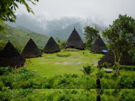Seiring Hari Pariwisata Dunia, Menteri Pariwisata Luncurkan Indonesia Tourism Outlook 2026/2027 Berita Perjalanan dan Pariwisata