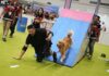 JIPS 2027 Siap Kembali Bawa Pengalaman Pet Exhibition yang Lebih Interaktif Berita Perjalanan dan Pariwisata