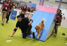 JIPS 2027 Siap Kembali Bawa Pengalaman Pet Exhibition yang Lebih Interaktif