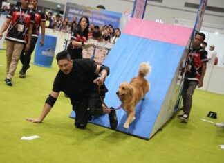 JIPS 2027 Siap Kembali Bawa Pengalaman Pet Exhibition yang Lebih Interaktif Berita Perjalanan dan Pariwisata