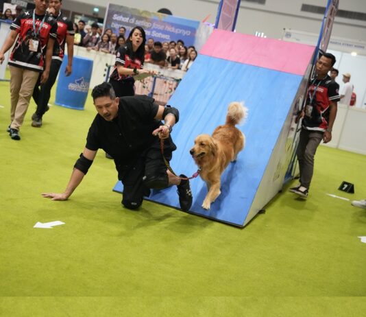 JIPS 2027 Siap Kembali Bawa Pengalaman Pet Exhibition yang Lebih Interaktif Berita Perjalanan dan Pariwisata