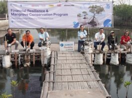 Tanam 1.000 Mangrove hingga Perkuat Literasi Keuangan, Zurich Hadirkan Aksi “Sayang Bumiku” Berita Perjalanan dan Pariwisata